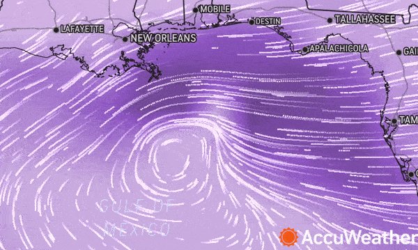 <p><strong>Wind Flow forecast map shows the circulation in the Gulf of Mexico approaching the coast. ACCUWEATHER</strong></p>